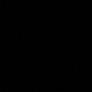 Meet your Posher, Randy